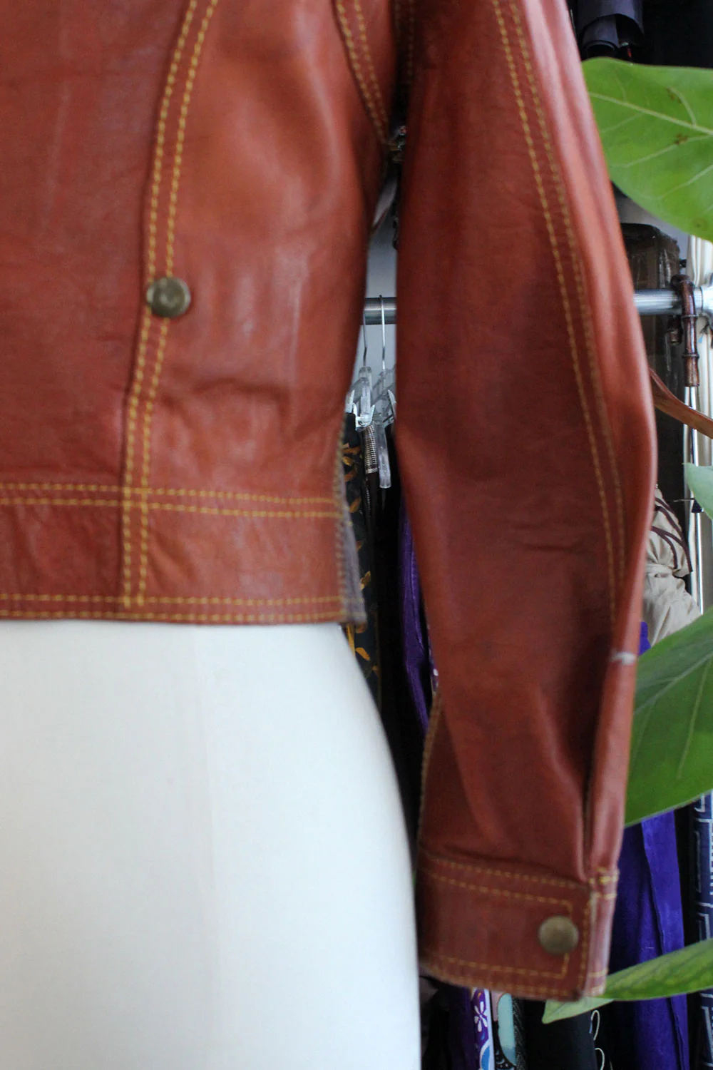 Thumbnail 12
